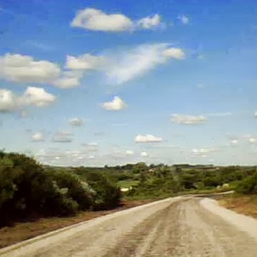Juanita Torres Photo 11