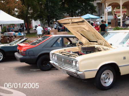 Shelly Wilson Photo 23
