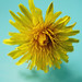 Christine Eaves Photo 18