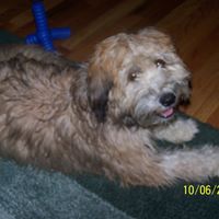 Janet Iverson Photo 7