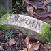 Barbara Hanson Photo 35
