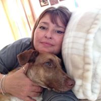 Barbara Lindsey Photo 34