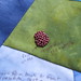 Debra Wing Photo 18