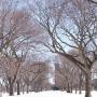 Jerri Wood Photo 28