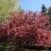 Lisa Magill Photo 26