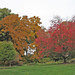 Lisa Knoll Photo 20