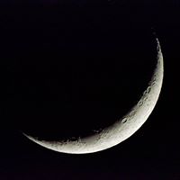 Joann Skinner Photo 28
