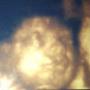 Steven Billingsley Photo 19