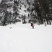 Sharon Harvey Photo 16
