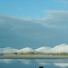 Anne Ross Photo 32