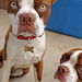 Frankie Curtis Photo 9