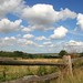 Linda Wheat Photo 28