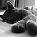 Amy Grau Photo 14