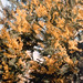 Judy Anderson Photo 18