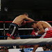 Angel Alicea Photo 26