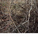 Paula Valenti Photo 5