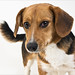 Sherry Barney Photo 27