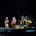 Neil Smart Photo 39