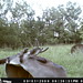 Marion Hunt Photo 31