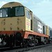 Stephen Toton Photo 4