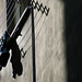 Larry Luce Photo 13