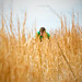 Justin Crouch Photo 26