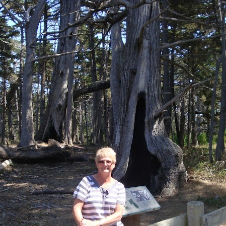 Lorraine Cartwright Photo 18