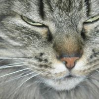 Mary Zeller Photo 6