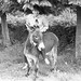 Hugh Fitzsimons Photo 5
