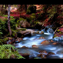 David Landin Photo 12