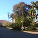 Debbie Stanford Photo 23