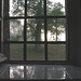 Theresa Williams Photo 32