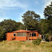 John Travers Photo 17