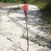 Sandy Garay Photo 14