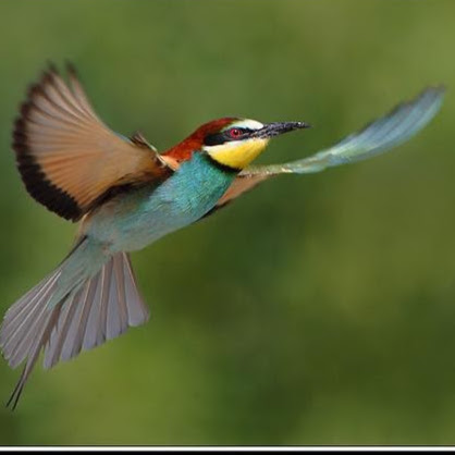 Sushil Gupta Photo 21