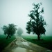 Misty Ford Photo 18