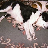Christine Wyman Photo 6
