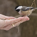 Don Grubbs Photo 5