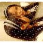 Xin Liu Photo 27
