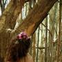 Ashley Hooper Photo 18