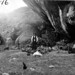 William Featherstone Photo 11