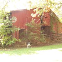 Laurie Dunlap Photo 20