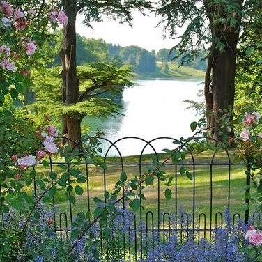 Anne Sweeney Photo 33