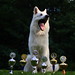 Dawn Berger Photo 20
