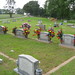 Debra Cobb Photo 27