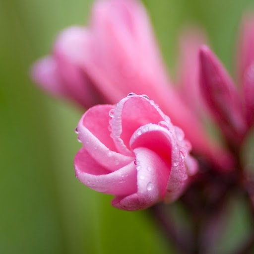 Linda Neely Photo 24