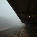 Misty Fink Photo 8