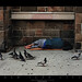 Jeff Mccurry Photo 35