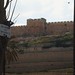 Ephraim Zion Photo 3