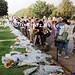 Mary Shands Photo 17